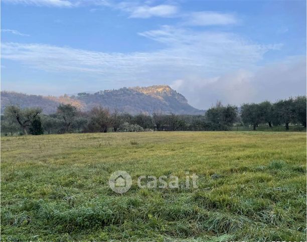 Terreno agricolo in commerciale in Via Agello