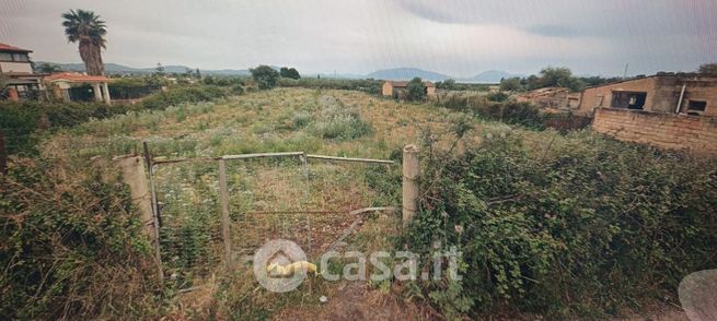 Terreno agricolo in commerciale in SP 1