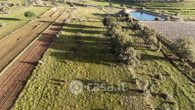 Terreno agricolo in commerciale in Contrada Vaito