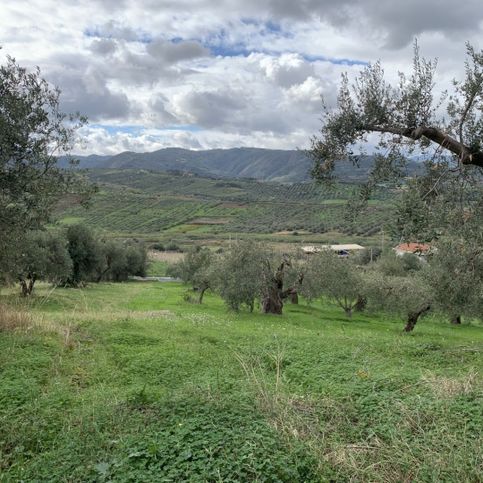 Terreno edificabile in residenziale in Strada Provinciale 101