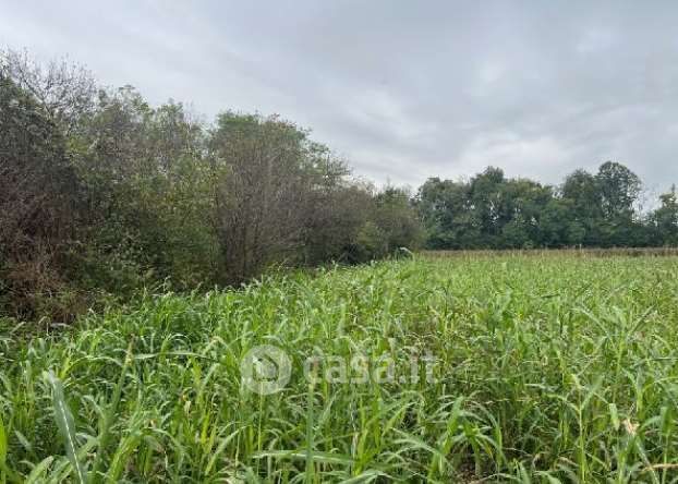 Terreno agricolo in commerciale in Via Roma