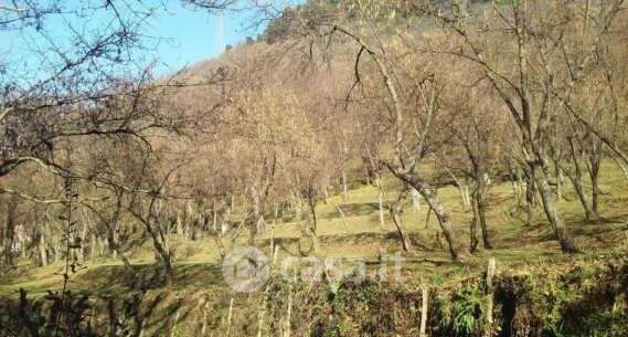 Terreno agricolo in commerciale in Via Guanni