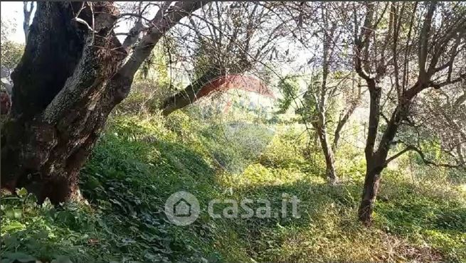 Terreno agricolo in commerciale in Via delle Sezioni