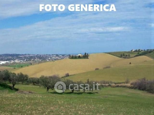 Terreno agricolo in commerciale in Via Calenzano