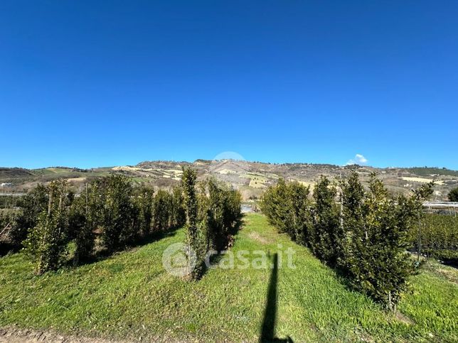 Terreno agricolo in commerciale in Contrada Colle di Guardia