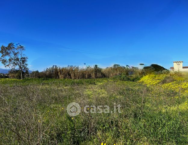 Terreno agricolo in commerciale in Località Sa Traia