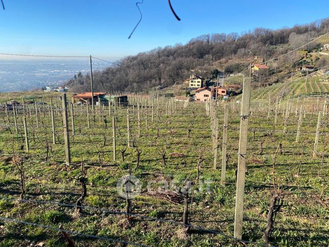 Terreno agricolo in commerciale in Via Fontanella