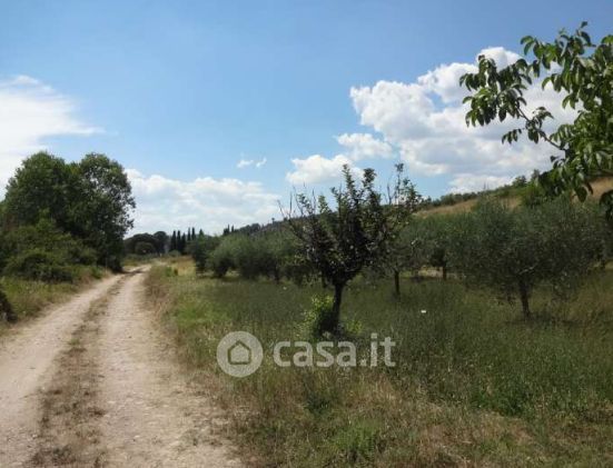 Terreno agricolo in commerciale in Via Galileo Galilei