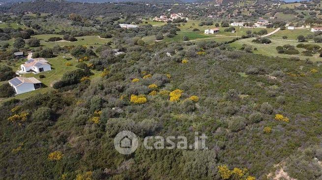 Terreno agricolo in commerciale in 