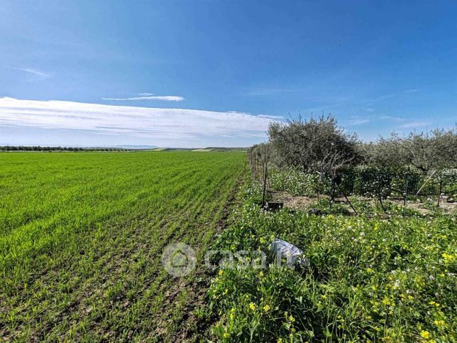 Terreno agricolo in commerciale in 