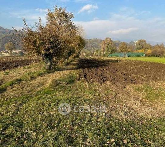 Terreno agricolo in commerciale in Via Marco Bonomo