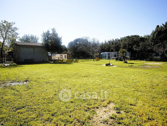 Terreno agricolo in commerciale in Via dell'Uliveta