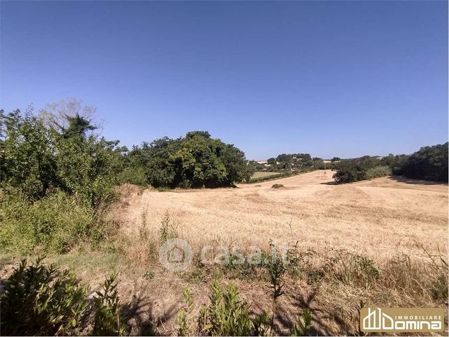 Terreno agricolo in commerciale in Via Portonovo