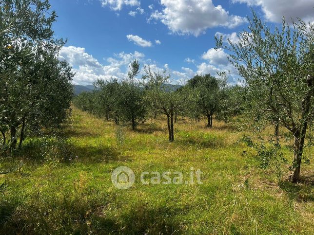Terreno agricolo in commerciale in Via Norvegia