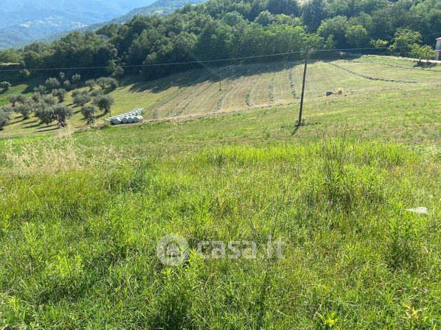 Terreno agricolo in commerciale in Via Teramo