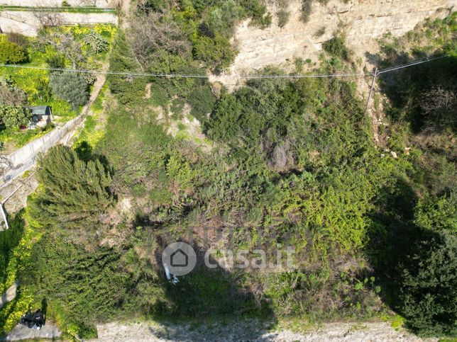 Terreno agricolo in commerciale in Corso Limone Piemonte