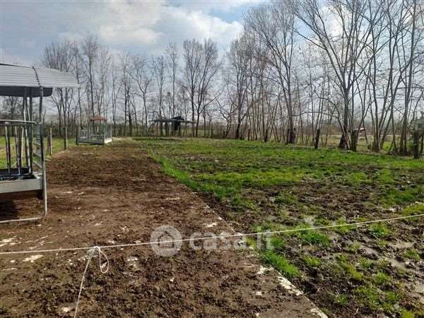 Terreno agricolo in commerciale in Via Andrea Longhin