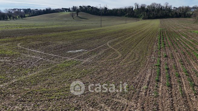 Terreno agricolo in commerciale in Strada Grisignano Malguaia
