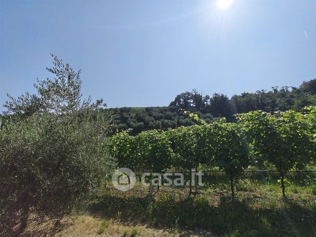 Terreno agricolo in commerciale in