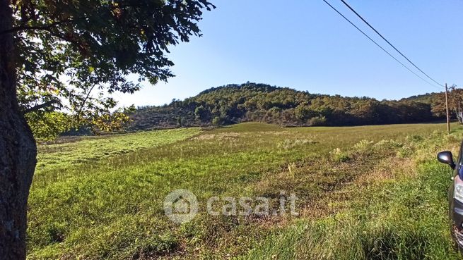 Terreno agricolo in commerciale in Strada provinciale 19