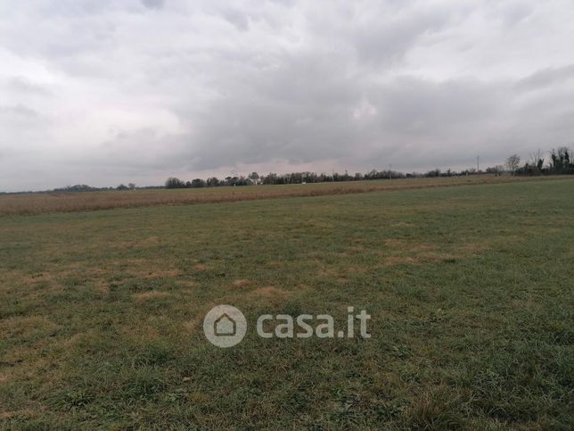 Terreno agricolo in commerciale in Via Bariglaria