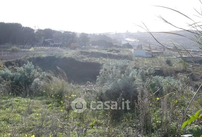 Terreno agricolo in commerciale in Quattropoani Aria Morta