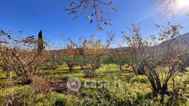 Terreno agricolo in commerciale in Via Aldo Moro