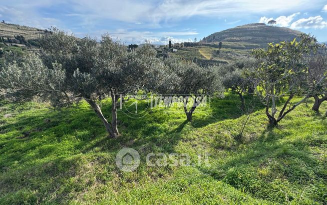Terreno agricolo in commerciale in Strada Provinciale 50
