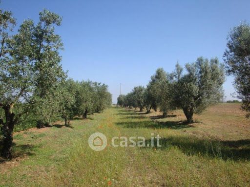 Terreno agricolo in commerciale in 