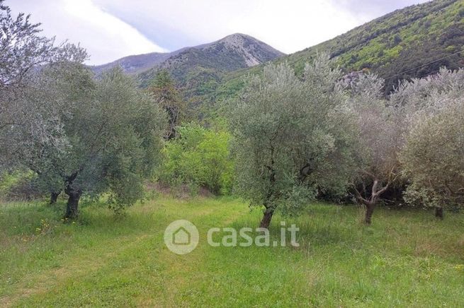 Terreno agricolo in commerciale in Via Ingegner Giuseppe Giammarco