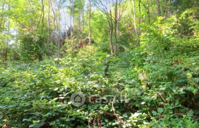 Terreno agricolo in commerciale in Via San Nicola