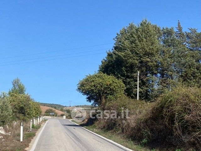 Terreno agricolo in commerciale in Via Bando Inferiore