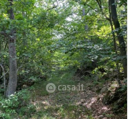 Terreno edificabile in residenziale in Frazione Forotondo