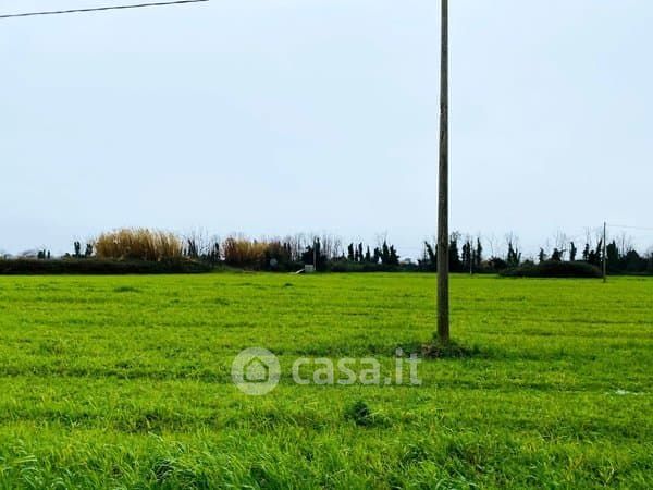 Terreno agricolo in commerciale in Via Vicinale Paglietta