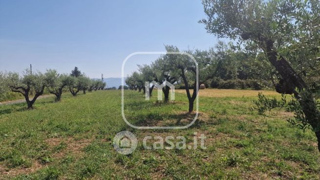 Terreno agricolo in commerciale in Via Radicofani