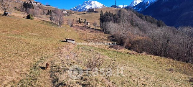 Terreno agricolo in commerciale in 