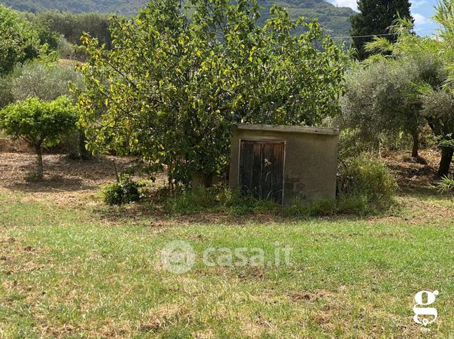 Terreno agricolo in commerciale in Borgata Rocco Marura 0 SN