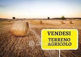 Terreno agricolo in commerciale in 