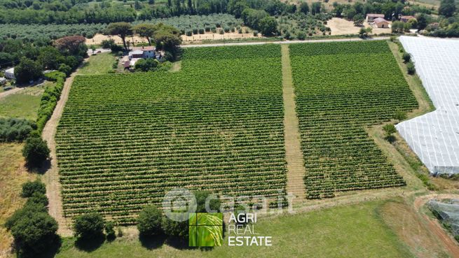 Terreno agricolo in commerciale in Via Ninfina 79