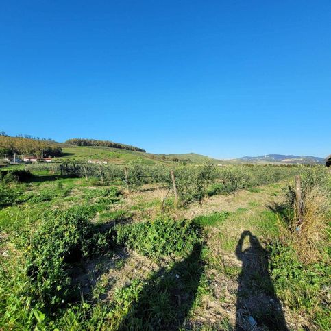 Terreno edificabile in residenziale in Viale Fiume Busento