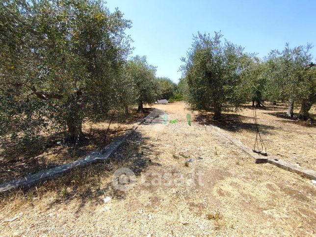 Terreno agricolo in commerciale in