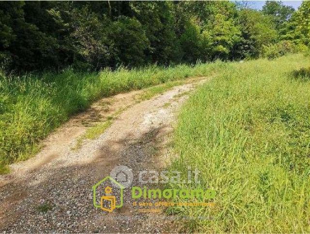 Terreno agricolo in commerciale in Strada Provinciale 4 Volterrana