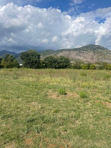 Terreno agricolo in commerciale in epitaffio 2