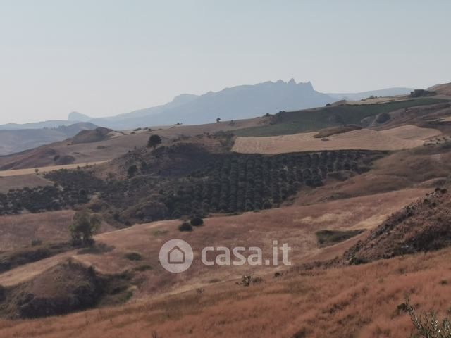 Terreno edificabile in residenziale in cianciana, AG