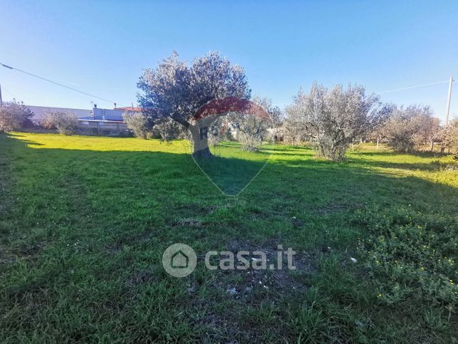 Terreno edificabile in residenziale in Contrada Colle Pizzuto