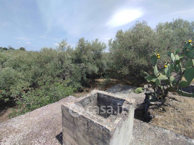 Terreno agricolo in commerciale in Via Mangione