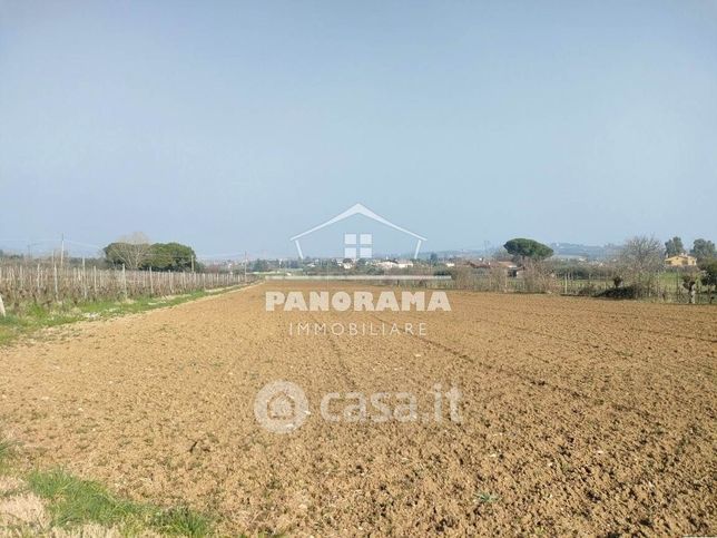 Terreno agricolo in commerciale in 
