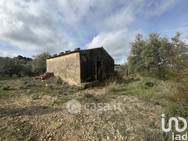 Terreno agricolo in commerciale in Strada Statale 115 Sud Occidentale Sicula