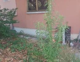 Appartamento in residenziale in Via Molino