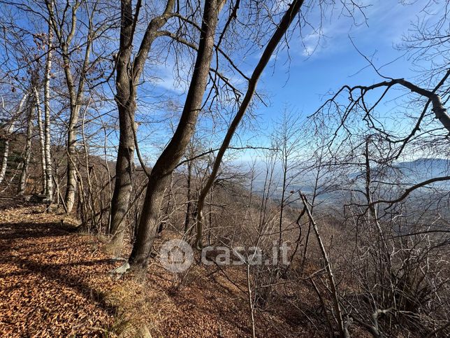 Terreno agricolo in commerciale in Via Cave 574